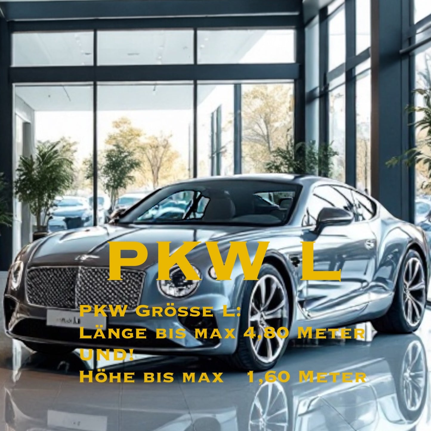 GEBRAUCHT FAHRZEUG - Aufbereitung BASIC