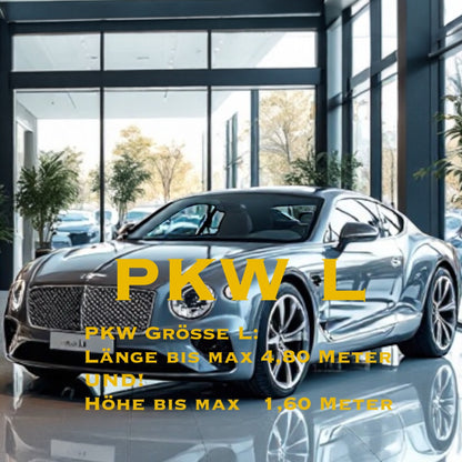 GEBRAUCHT FAHRZEUG - Aufbereitung BASIC