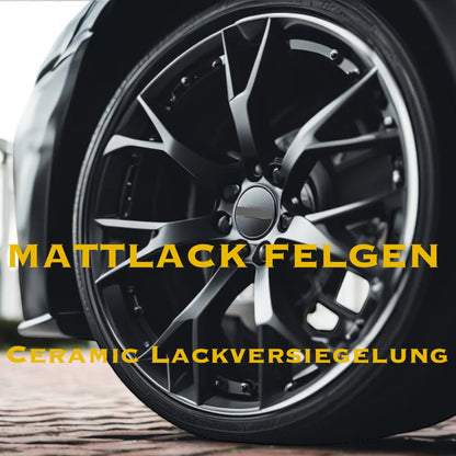MATTLACK Felgenversiegelung. Je Felge.