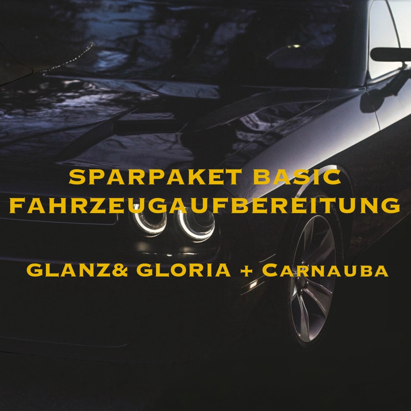 GEBRAUCHT FAHRZEUG - Aufbereitung BASIC