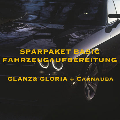 GEBRAUCHT FAHRZEUG - Aufbereitung BASIC